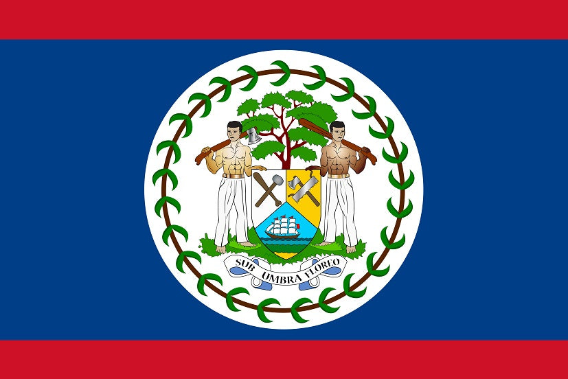 Autocollant drapeau du Belize 5-60cm Résistant aux intempéries F-FL-BEL