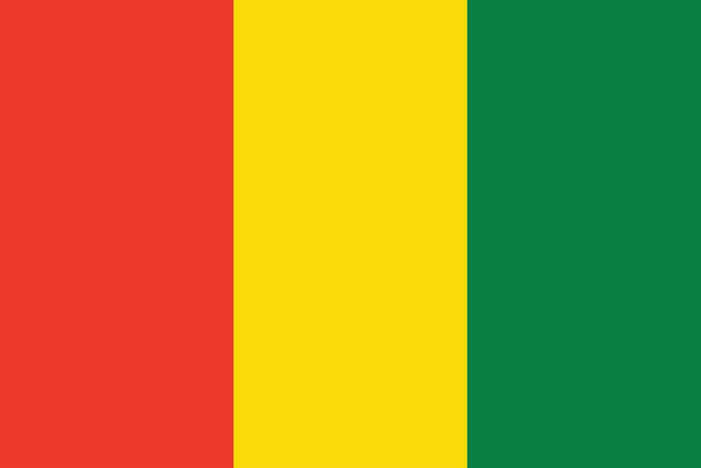 Autocollant drapeau de la Guinée 5-60cm Résistant aux intempéries F-FL-GUI