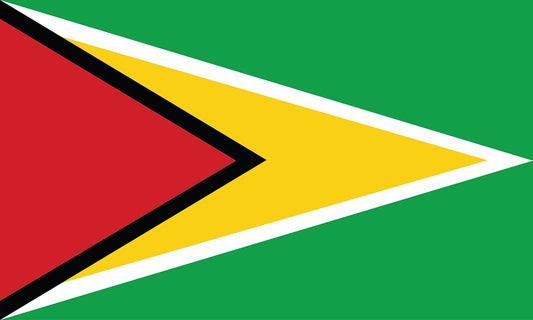 Autocollant drapeau du Guyana 5-60cm Résistant aux intempéries F-FL-GUY