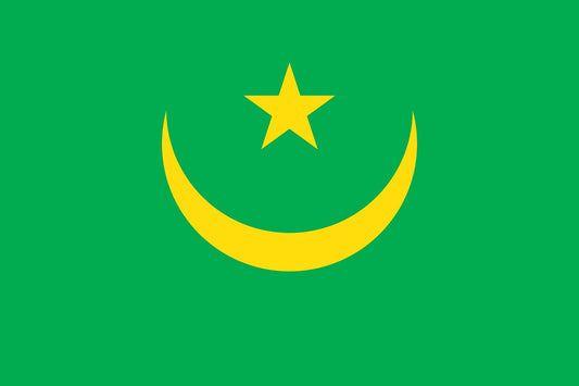 Autocollant drapeau de la Mauritanie 5-60 cm Résistant aux intempéries F-FL-MAU